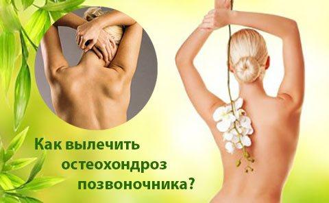 Александра Бонина - лучшие отзывы