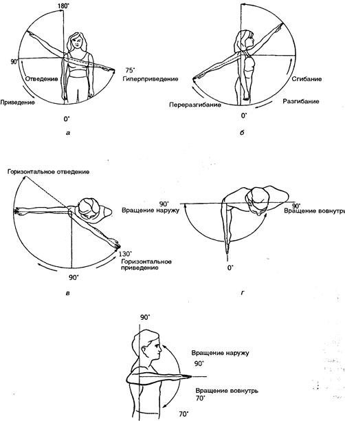 Анатомия движения