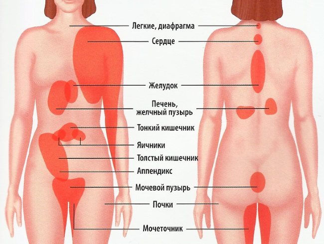 Боль в левом боку под ребрами спереди, сзади у женщин, в животе, ноющая боль при беременности, при нажатии
