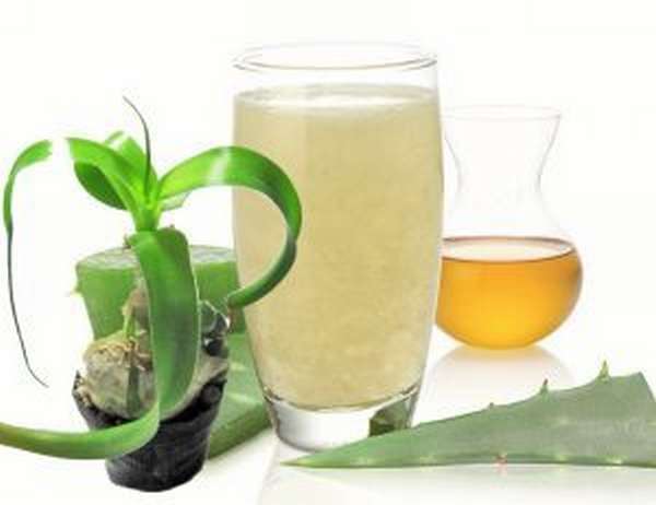 индийский лук1