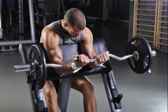 Как накачать бицепс