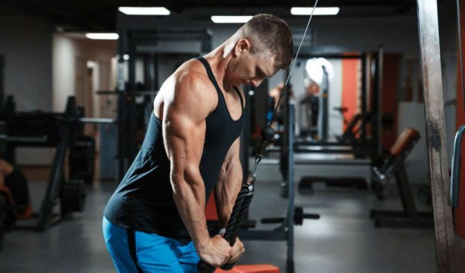 Как накачать трицепс