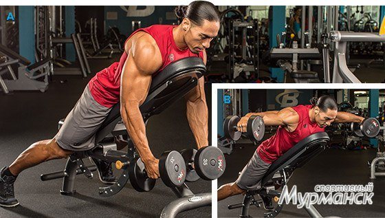 Как накачать заднюю дельту