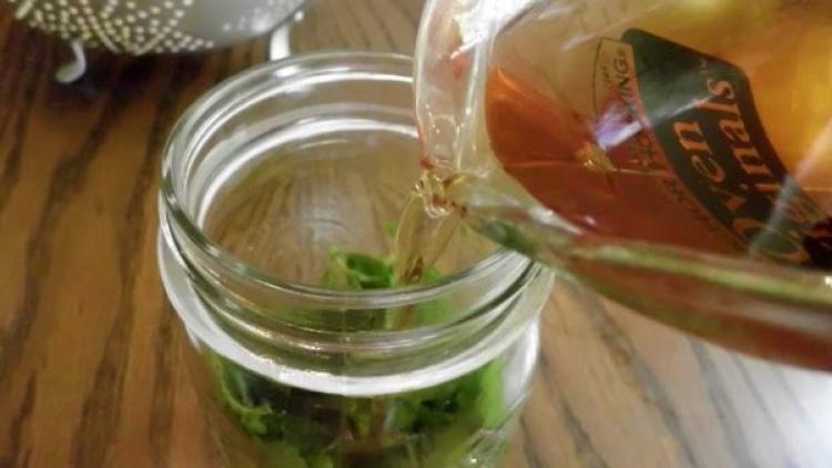 Как приготовить настойку из индийского лука для суставов ...