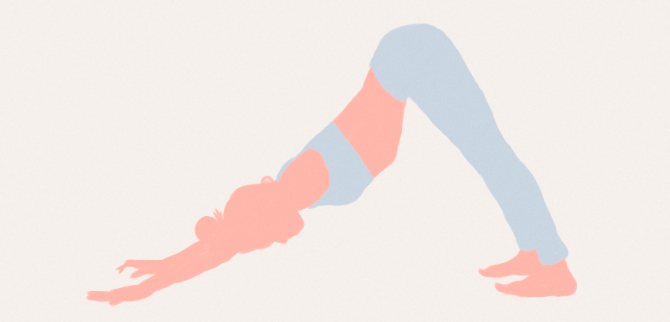 'Картинка упражнения 