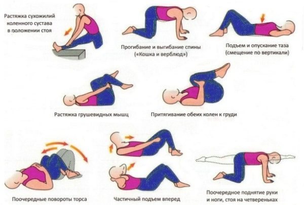 Комплекс базовых упражнений при сколиозе 3 степени