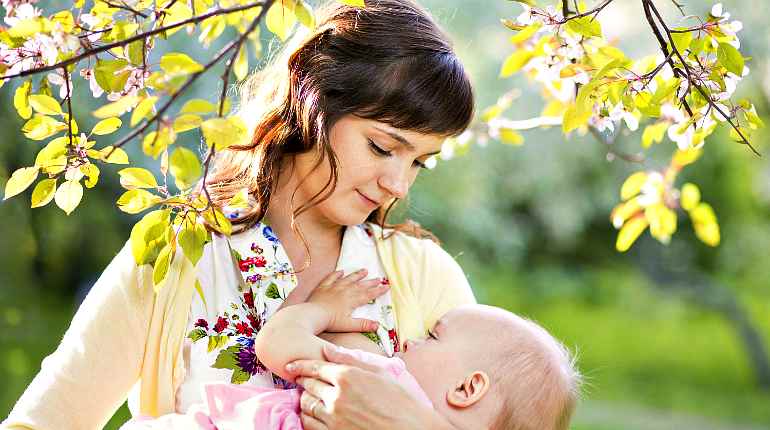 Корень подсолнуха: лечебные свойства и рекомендации по применению