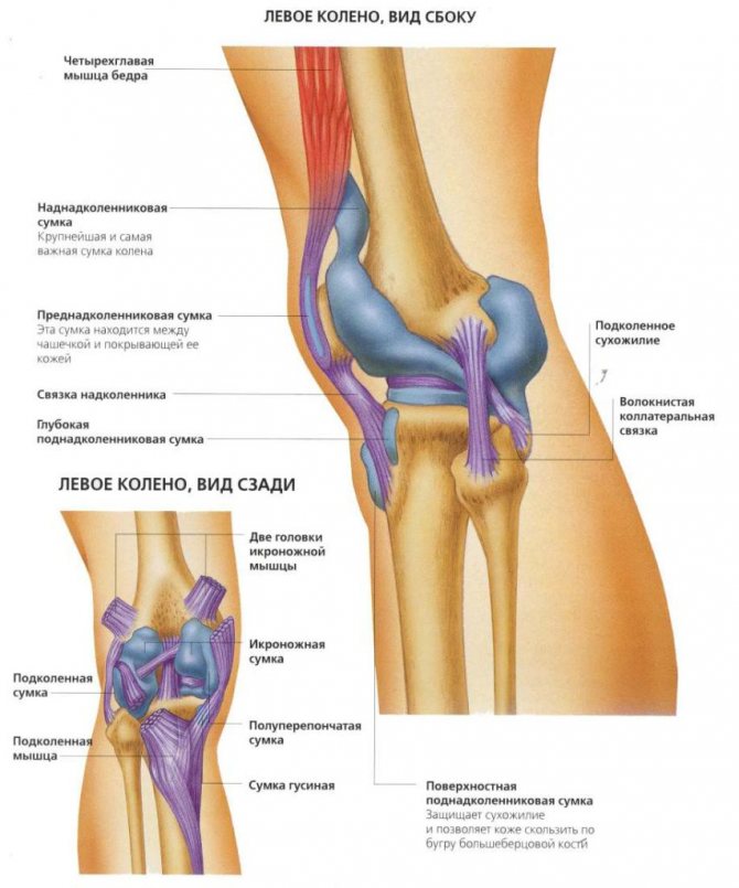 Лигаментоз и лигаментит коленного сустава