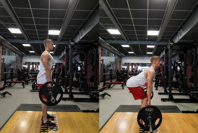 Мертвая тяга со штангой