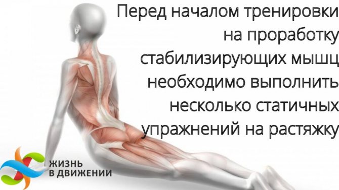 Мышцы стабилизаторы. Для чего нужны. Виды упражнений