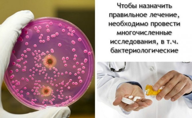 назначение лечения при кандидозе