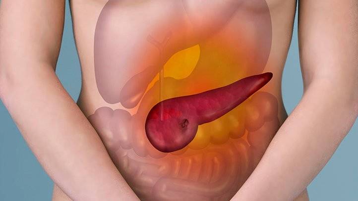 Поджелудочная железа