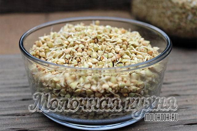 Польза зеленой гречневой крупы