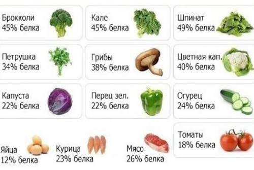 продукты с белком