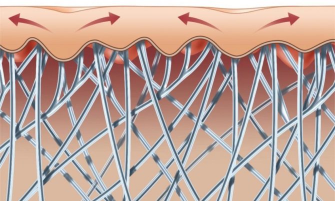 Структура коллагена