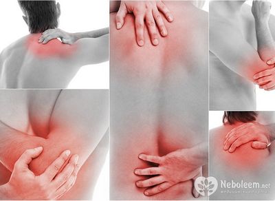 Температура ломит кости болит голова