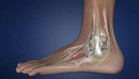 Травма голеностопного сустава