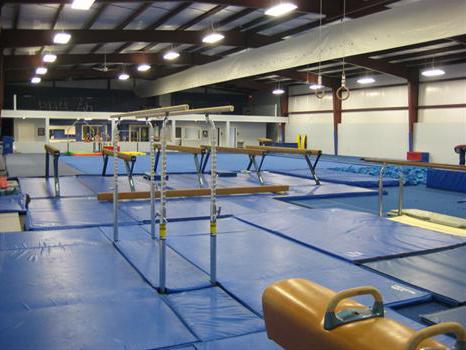 Тренировка по силовой гимнастике