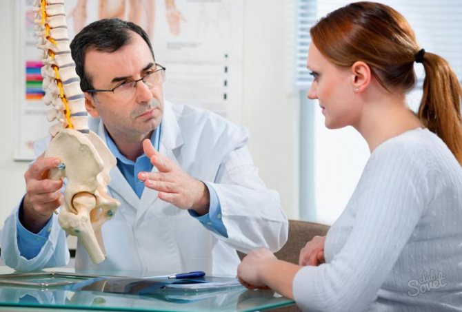 Вертебролог