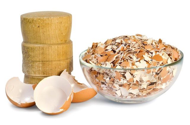 Яичная скорлупа: польза и вред для здоровья