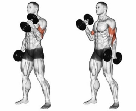 молот с гантелями