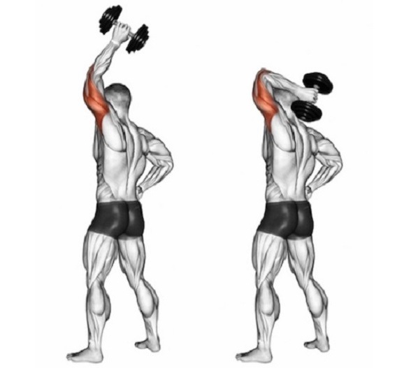 как накачать трицепсы