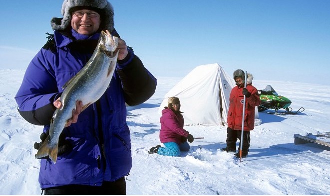 Северная морская рыба