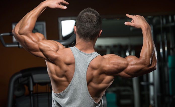 Мышечная масса