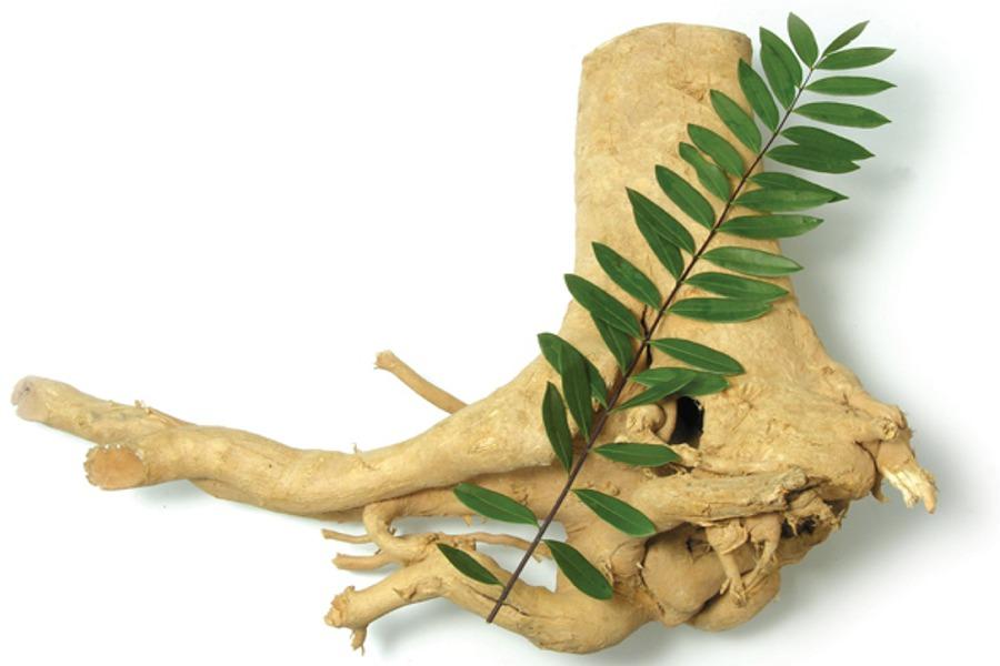 Тонгкат Али