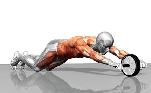 ролик для пресса упражнения для начинающих девушек