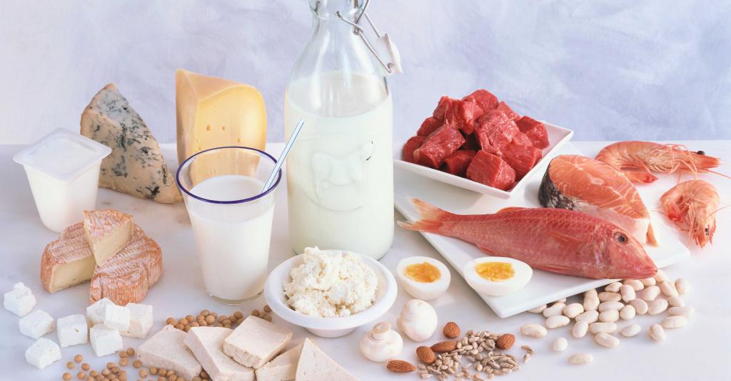 белковые продукты для жиросжигания