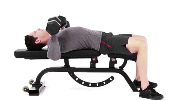 Жим гантелей