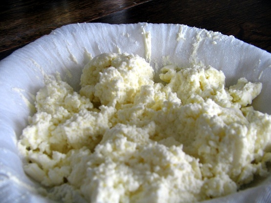 Жирный творог: характеристика