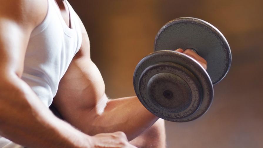 программа набора мышечной массы