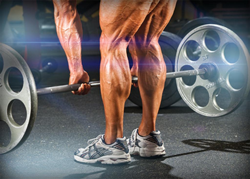 тренировка ягодиц для девушек в тренажерном зале