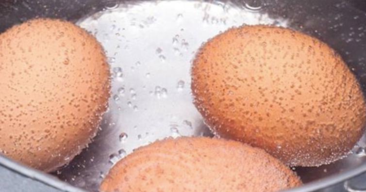 чем полезны яйца