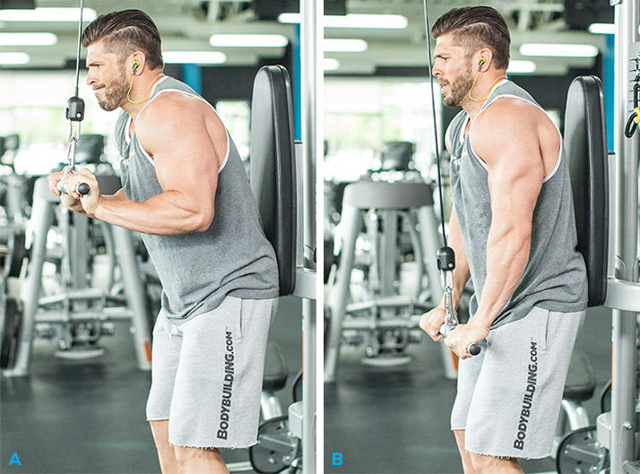 тренировка в тренажерном зале