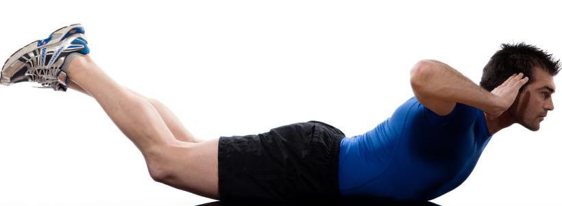 мышцы спины