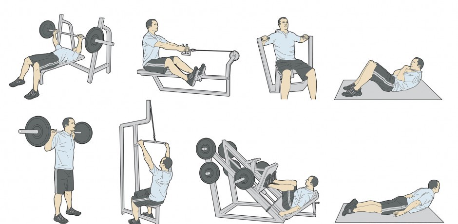 Силовые упражнения