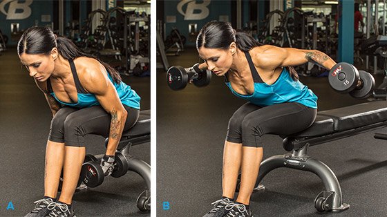 Разведение гантелей сидя в наклоне