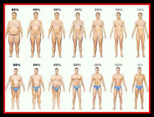 Процентное содержание жира