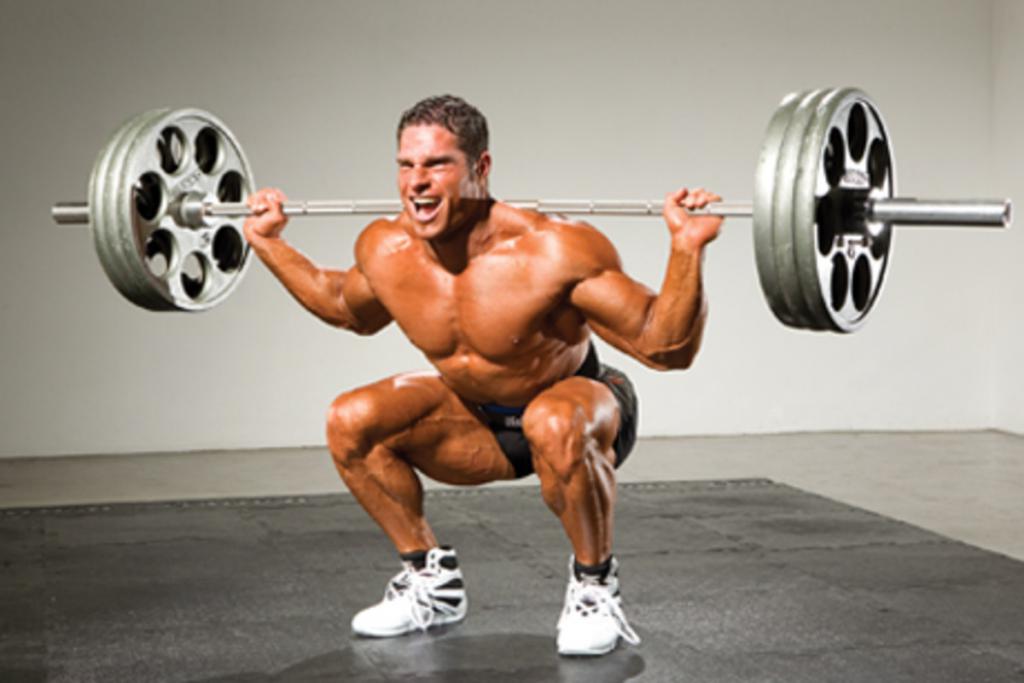 программа тренировок 5 по 5