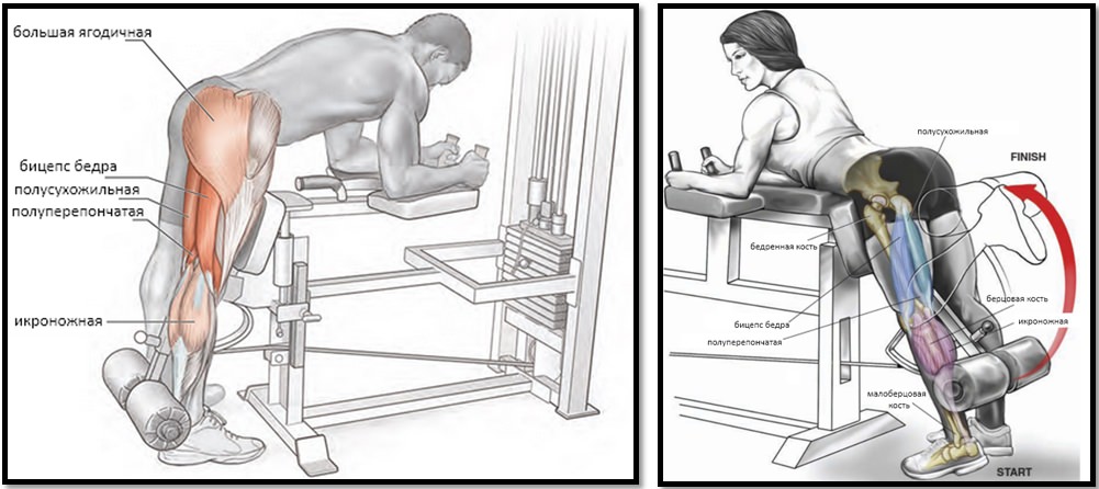 техника сгибания ног