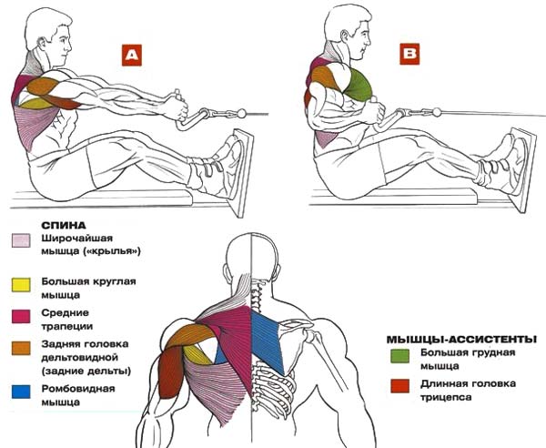 тяга нижнего блока