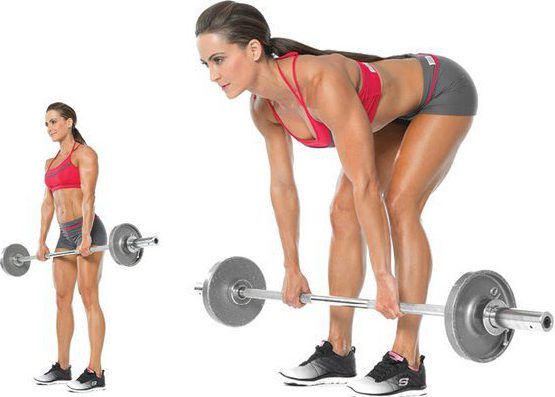 комплексные упражнения на спину со штангой