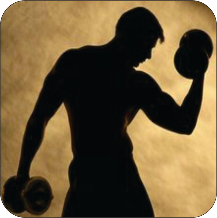 Развитие мускулатуры