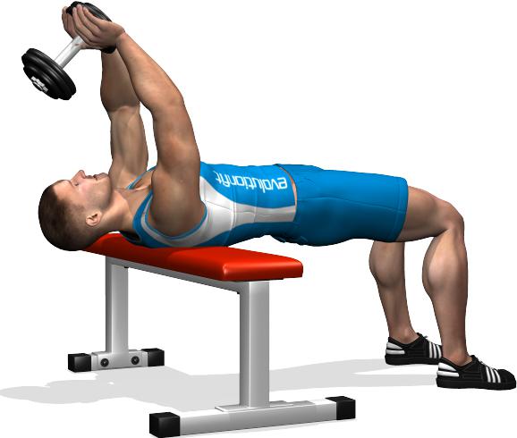 пуловер лежа на скамье с гантелей