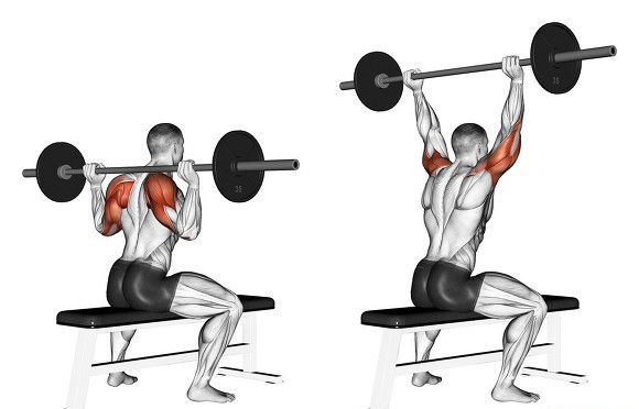 жим сидя за голову