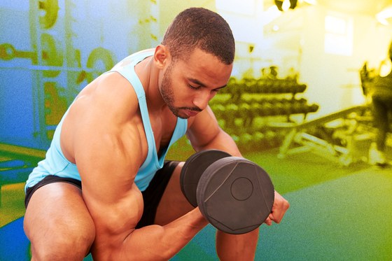 Особенности анатомии бицепса