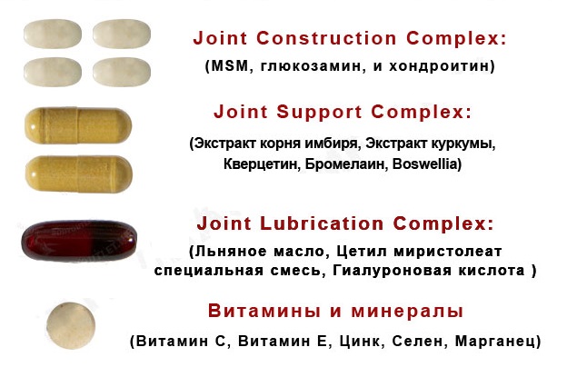 animal flex 44 пак инструкция к применению